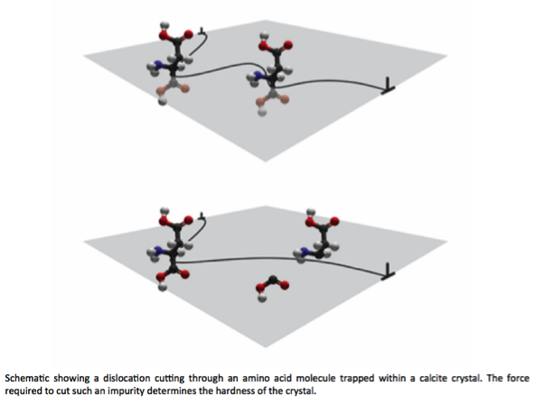 Research schematic of an amino acid trapped in calcite crystal