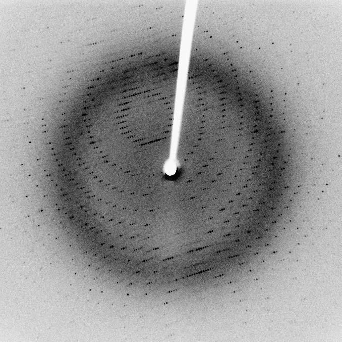 Image of xray diffaction pattern