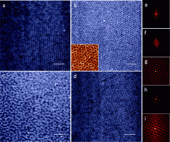 Research micrograph of colloid suspension